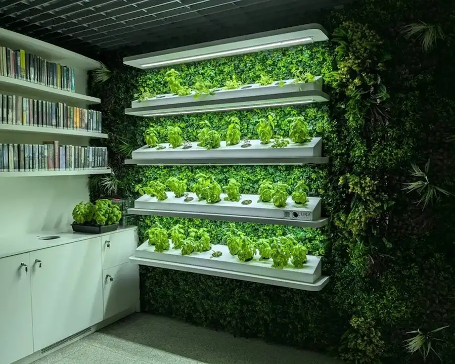 Thư viện "Tốc Hành" Metroteka: Giải Pháp Đột Phá Khôi Phục Văn Hóa Đọc Tại Ga Tàu Điện Ngầm Warsaw