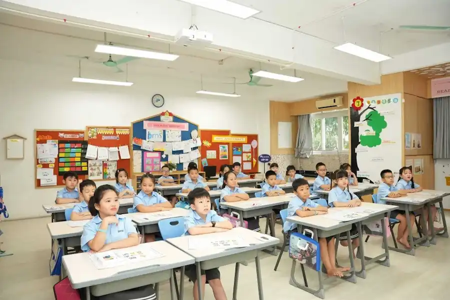 Xây Dựng "Hệ Sinh Thái" Hiệu Quả Cho Tiết Đọc Sách Trong Trường Học: Nâng Tầm Văn Hóa Đọc Việt