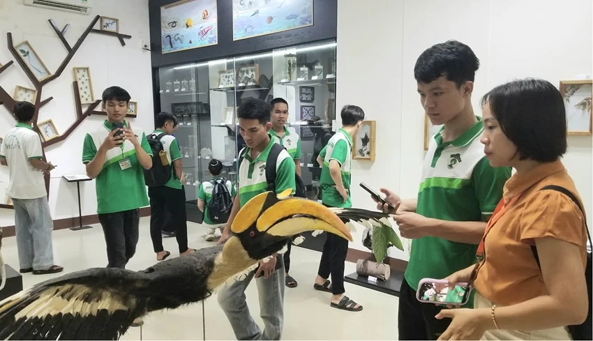 Không gian khởi nghiệp sáng tạo tại Cố đô Huế